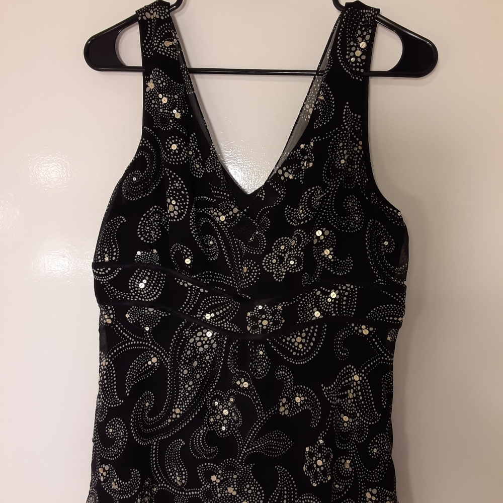 Dressy blouse 100% silk Ann Taylor Size 12